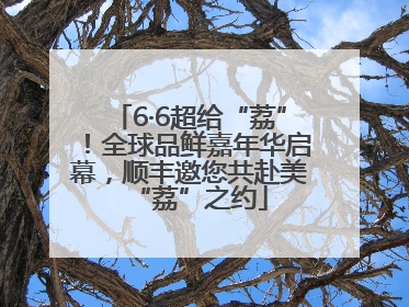 6·6超给“荔”！全球品鲜嘉年华启幕，顺丰邀您共赴美“荔”之约