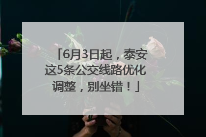6月3日起，泰安这5条公交线路优化调整，别坐错！