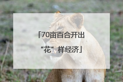 70亩百合开出“花”样经济