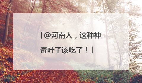 @河南人，这种神奇叶子该吃了！