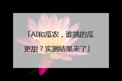 AI和瓜农，谁挑的瓜更甜？实测结果来了