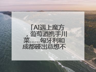 AI遇上魔方，葡萄酒携手川菜……匈牙利和成都碰出意想不到的合作机会